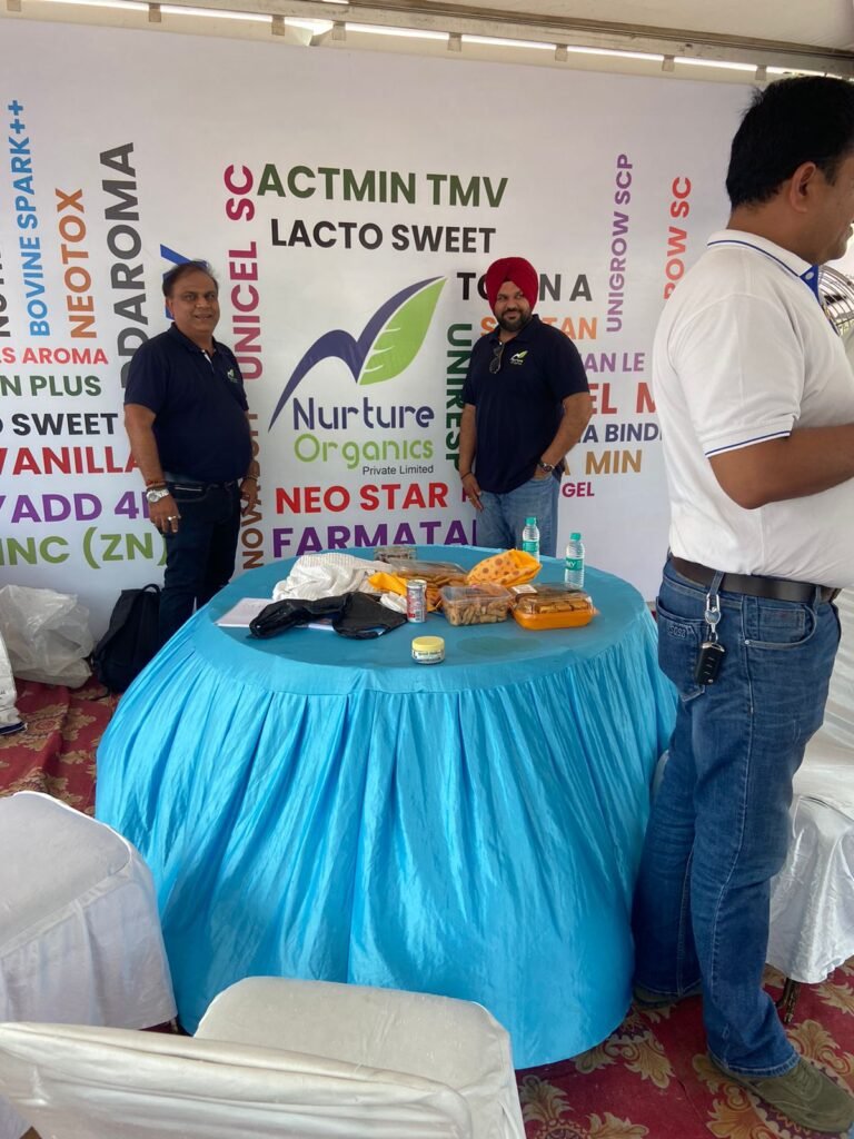 WhatsApp Image 2024-09-20 at 4.46.48 PM (1)