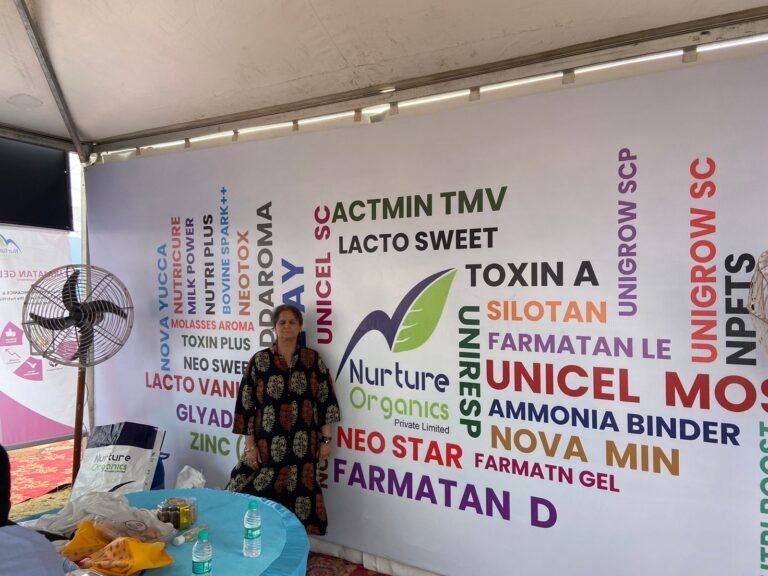 WhatsApp Image 2024-09-20 at 4.46.48 PM