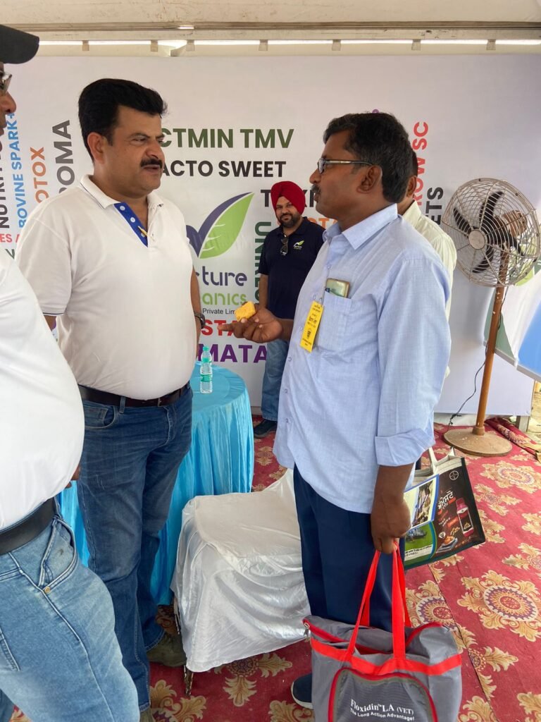 WhatsApp Image 2024-09-20 at 4.46.52 PM