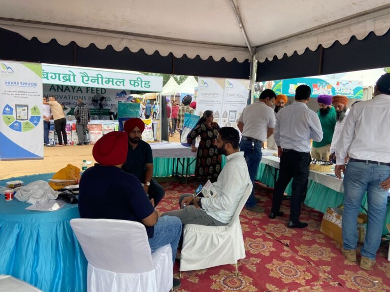 WhatsApp Image 2024-09-20 at 4.46.55 PM