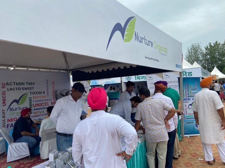 WhatsApp Image 2024-09-20 at 4.46.57 PM