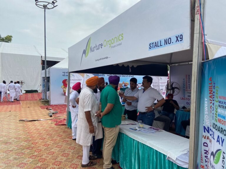 WhatsApp Image 2024-09-20 at 4.46.59 PM