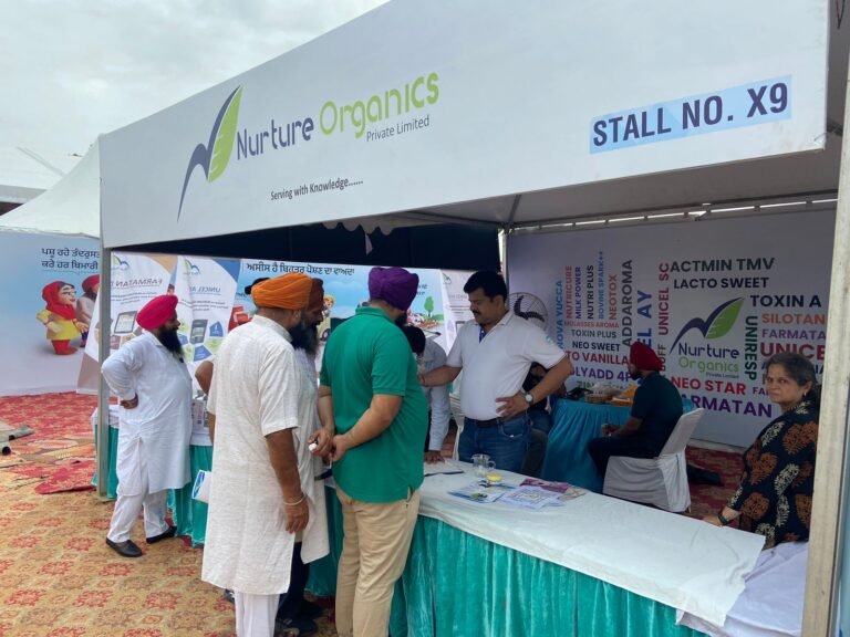 WhatsApp Image 2024-09-20 at 4.47.01 PM