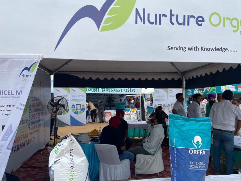 WhatsApp Image 2024-09-20 at 4.47.04 PM