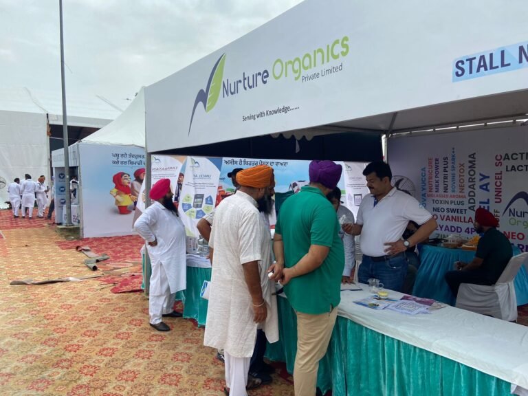 WhatsApp Image 2024-09-20 at 4.47.06 PM