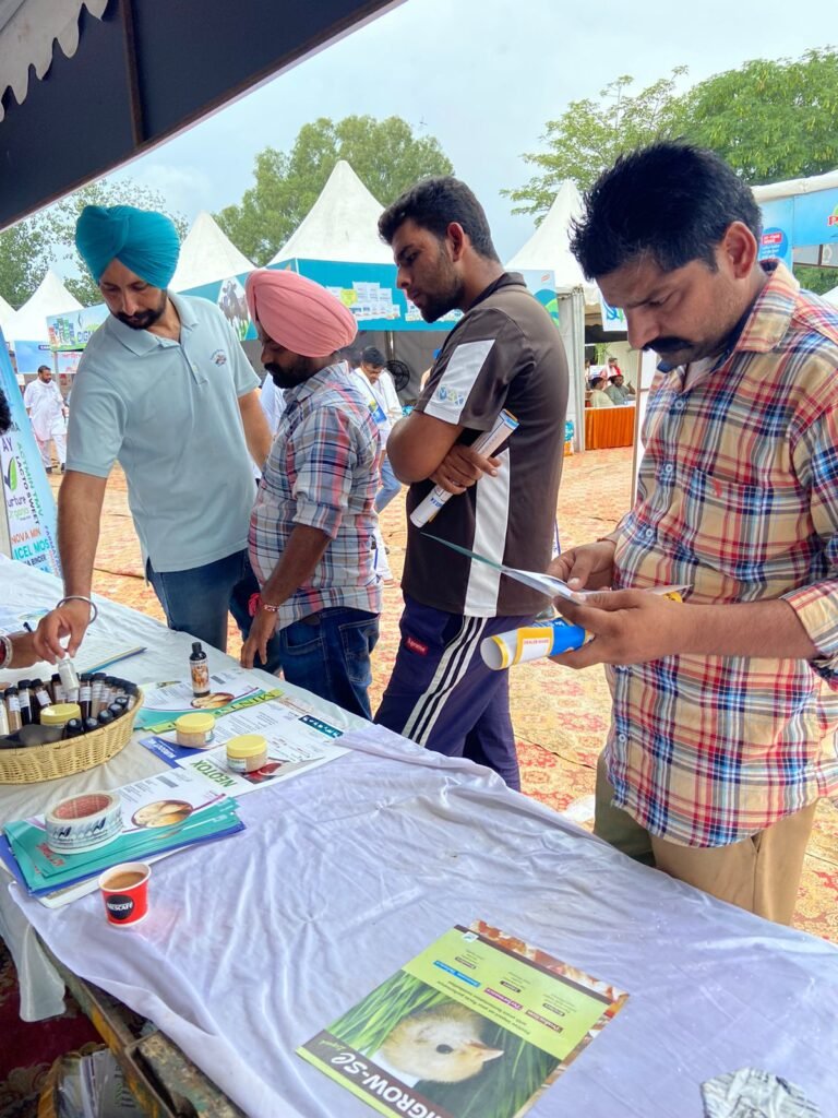 WhatsApp Image 2024-09-20 at 4.47.07 PM