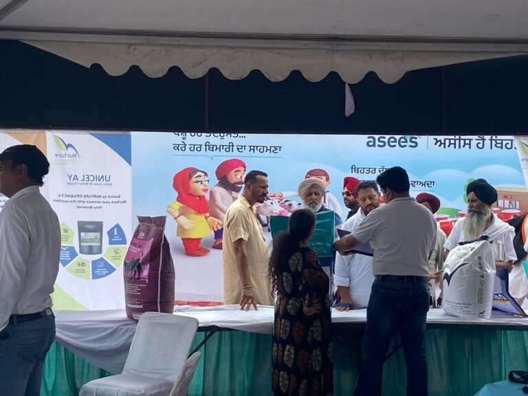 WhatsApp Image 2024-09-20 at 4.47.10 PM