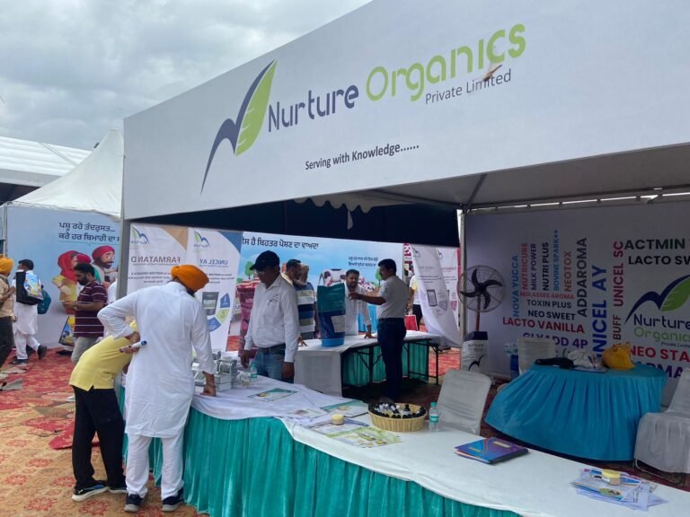 WhatsApp Image 2024-09-20 at 4.47.12 PM