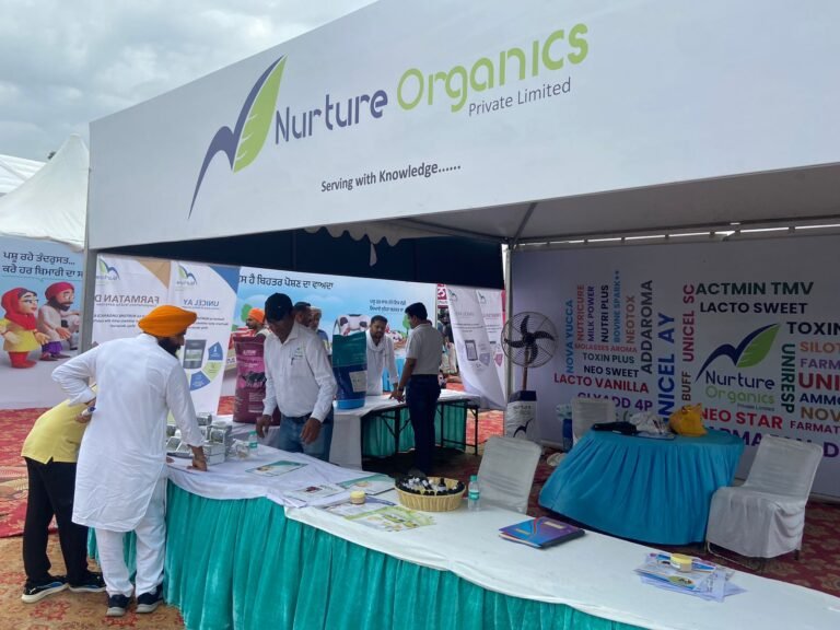 WhatsApp Image 2024-09-20 at 4.47.13 PM