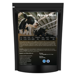 Boost cow productivity with NovaMin, a mineral supplement for enhanced fertility, digestion, and immunity.