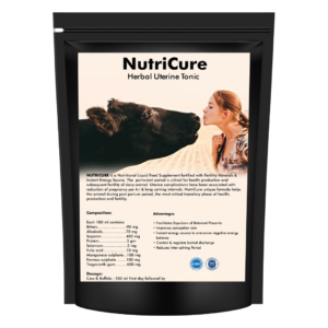 Postpartum recovery aid NutriCure for dairy animals to improve fertility and regulate lochial discharge