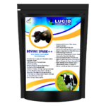 A concentrated energy supplement for improved milk production, growth, and reproductive health in animals